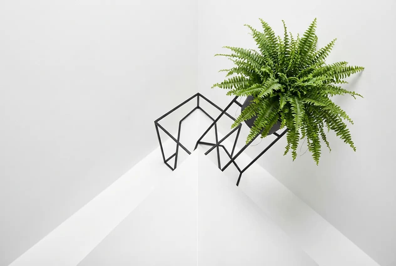 Aménager un angle aigu : 7 solutions gain de place Gros plan minimaliste sur la décoration végétale d'un angle fermé