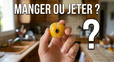 Main tenant une mirabelle noircie avec la question Manger ou Jeter